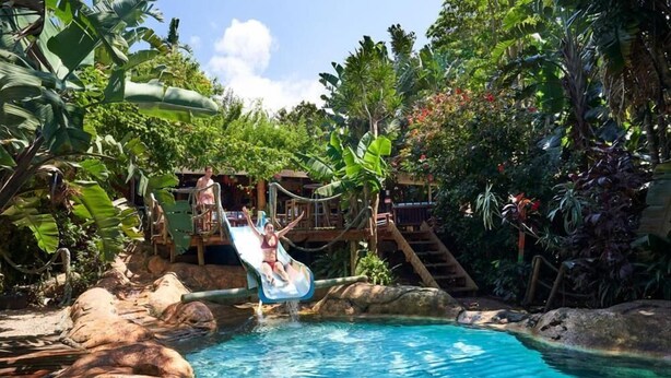 Une piscine avec un toboggan, entourée d’une végétation tropicale et agrémentée d’une structure en bois.