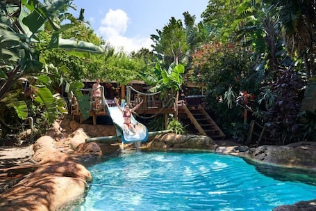 Outdoor pool. Mantis and Moon