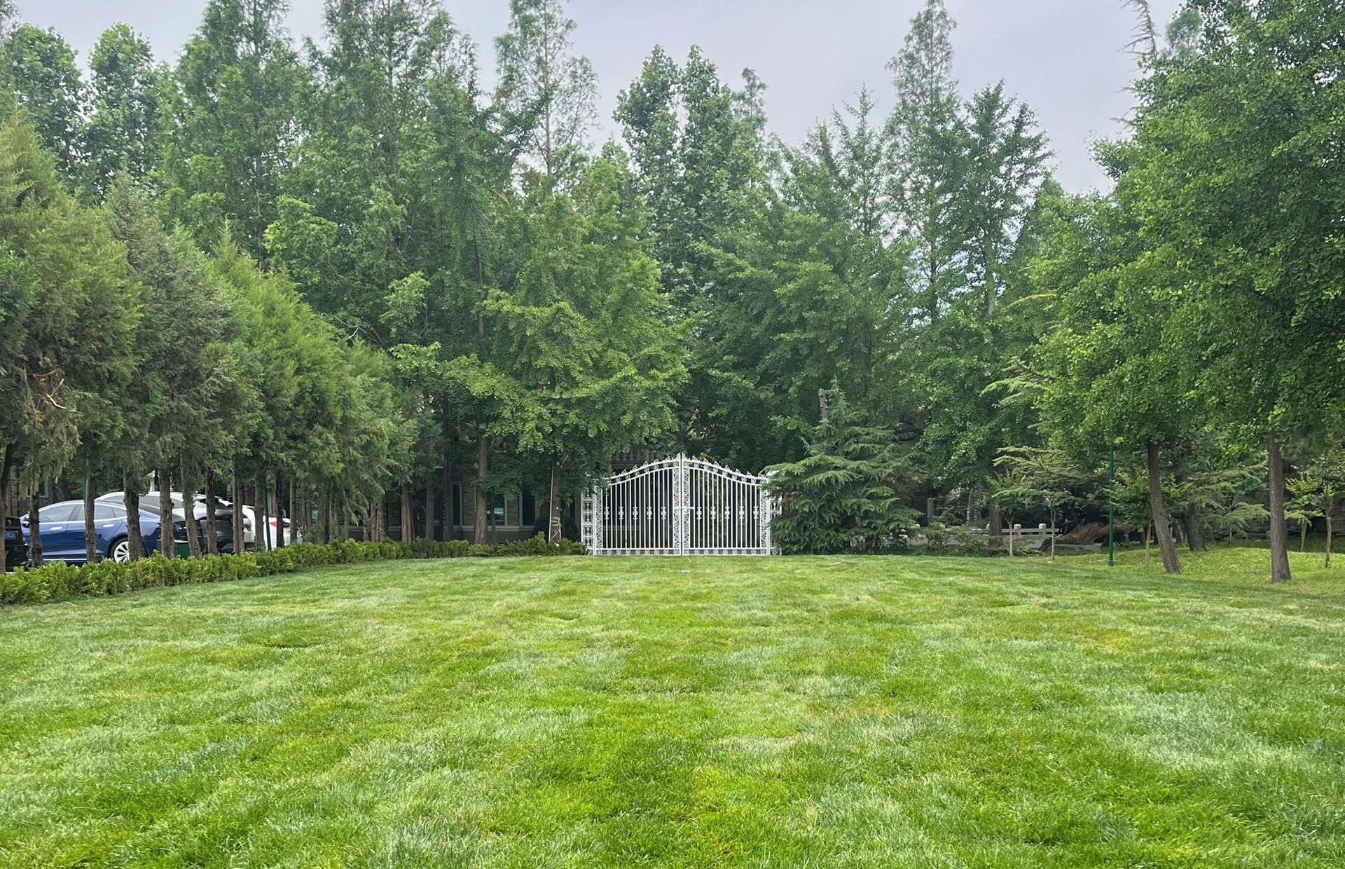 A grassy area with a metal fence structure in the center, surrounded by trees.