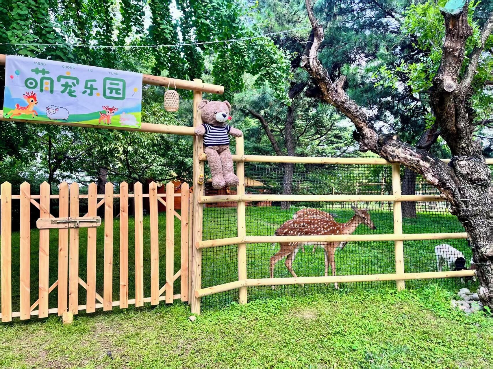 Children’s activities