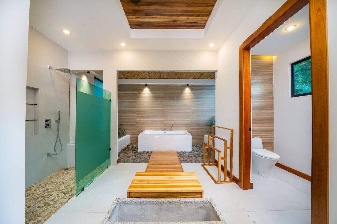 A modern bathroom with a shower, bathtub, and toilet.