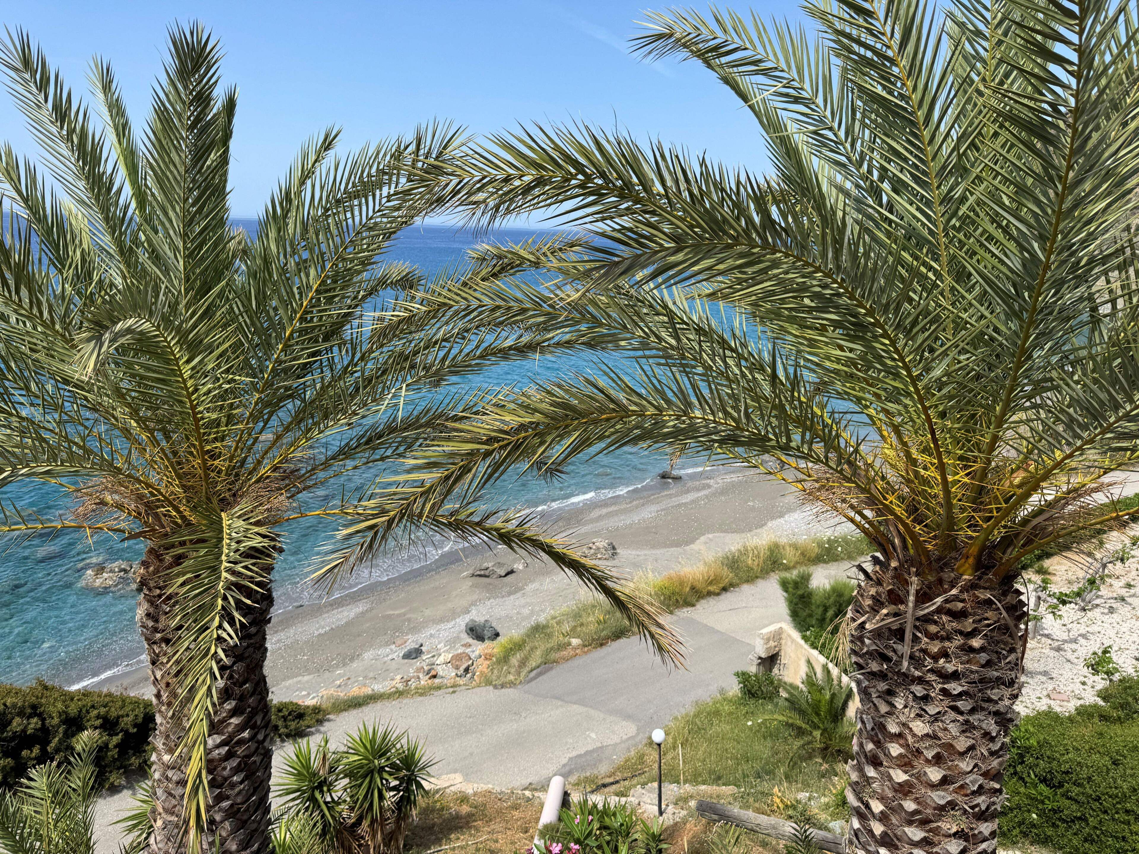 Vue sur la plage/l’océan