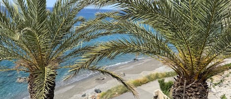 Vue sur la plage/l’océan