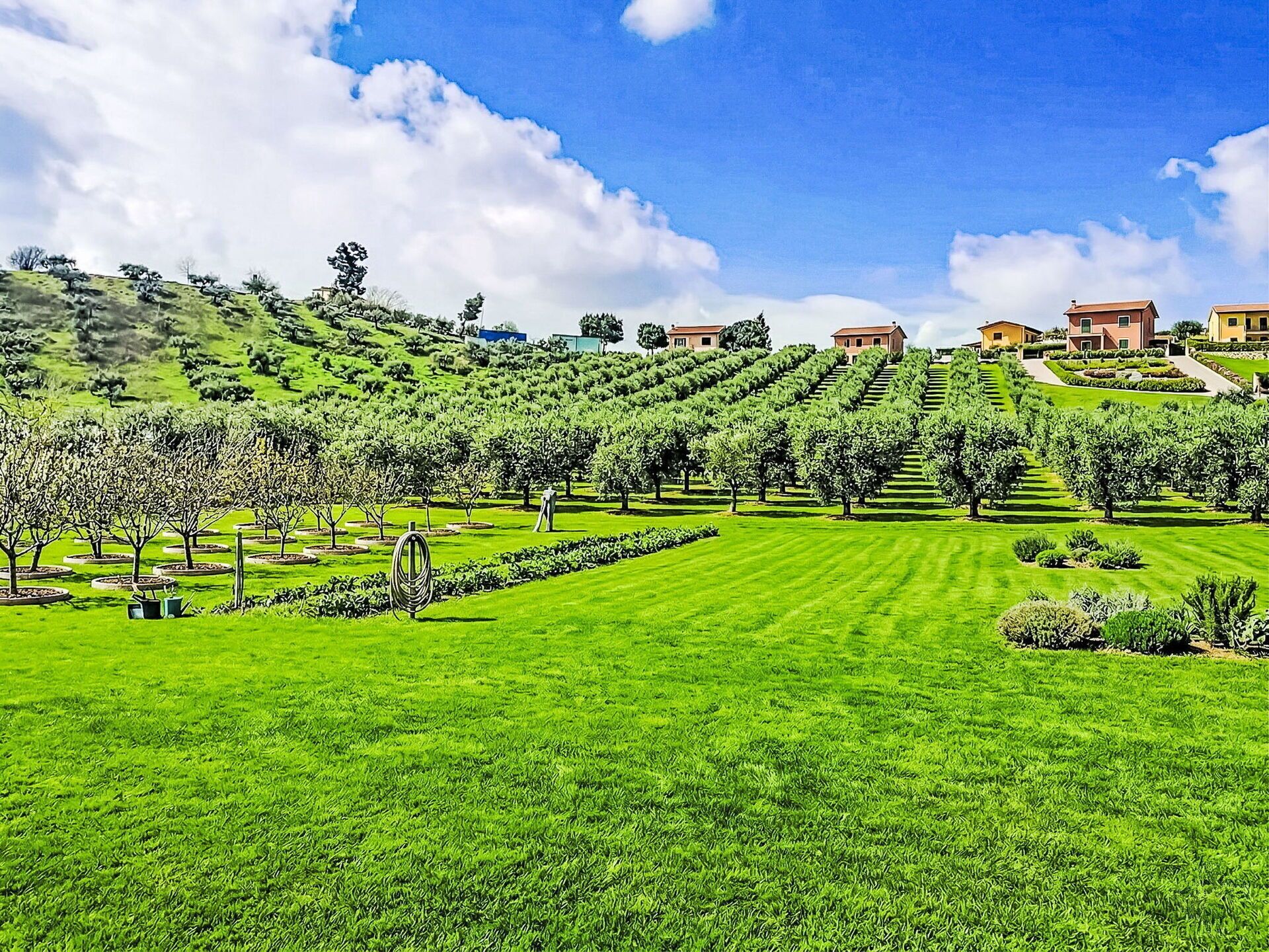 Grundstueck, Einfach, Ländliches Gebiet, Garten, Ground, Feld, Plantage, Landwirtschaft, Wiese