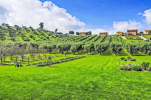 Grundstueck, Einfach, Ländliches Gebiet, Garten, Ground, Feld, Plantage, Landwirtschaft, Wiese