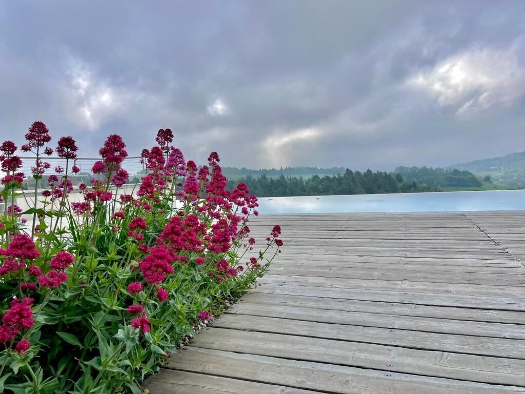 Deluxe-Doppelzimmer, Poolblick | Terrasse/Patio