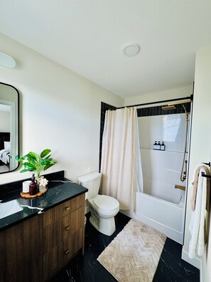 Hair dryer, towels, soap, toilet paper