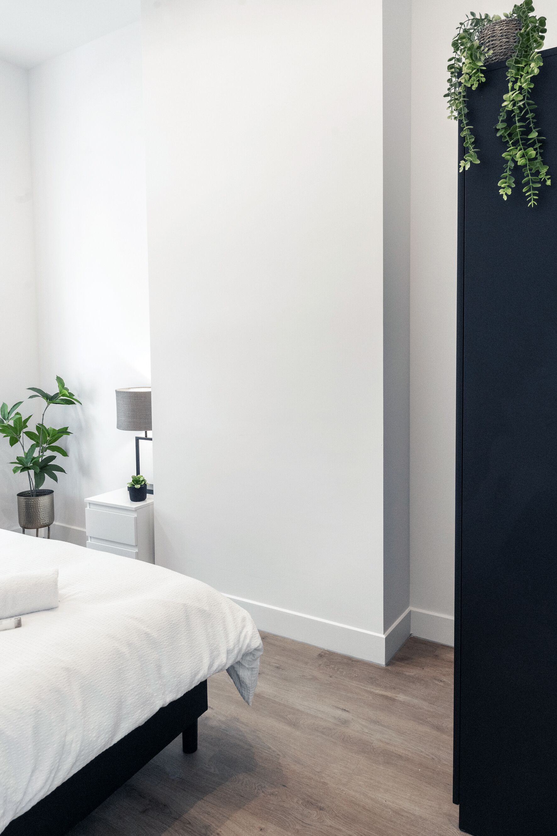 A bedroom with a bed, bedside table, lamp, and potted plants.