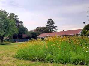 Property grounds - Fairland Luxury Apartments (Randburg)