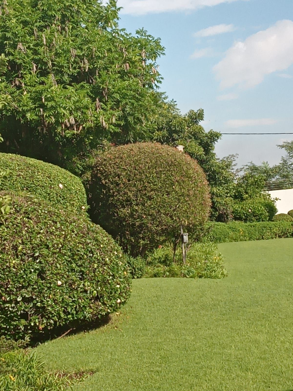 Departamento ejecutivo | Áreas de la propiedad