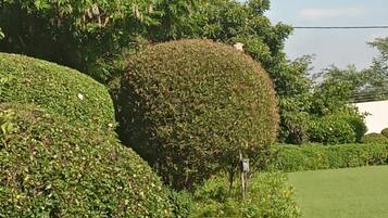 Departamento ejecutivo | Áreas de la propiedad