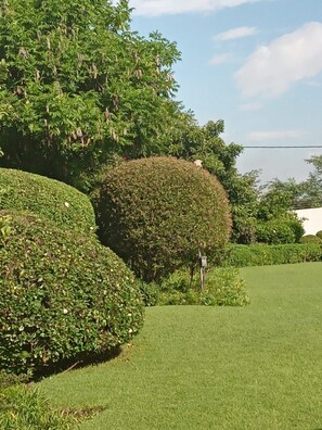 Executive appartement | Terrein van de accommodatie