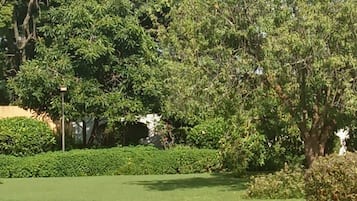 Executive Apartment | Property grounds