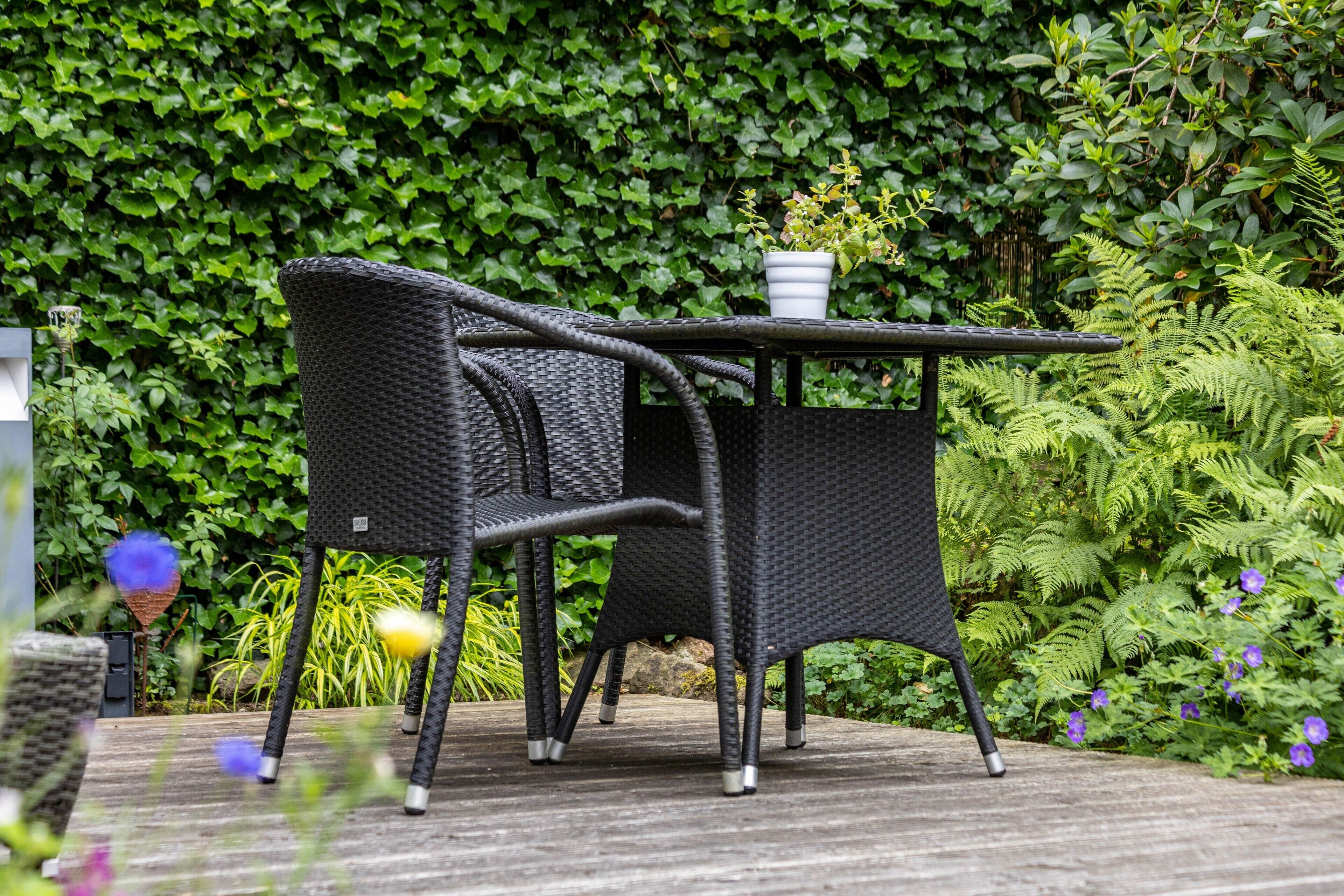 Terras