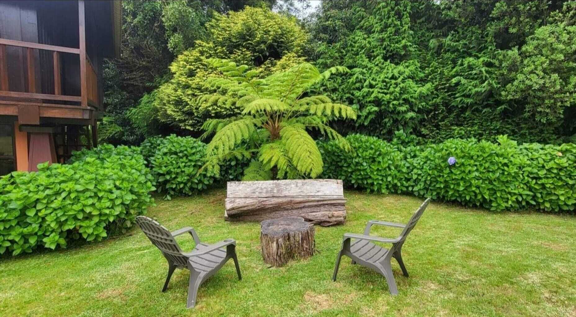 Un jardin avec un banc en bois, deux chaises et un grand arbre.
