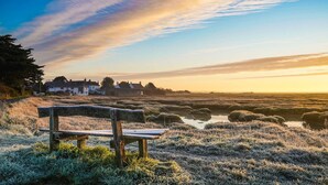 A bench in a natural setting with a view of houses in the background. - Wren Barn - Cosy 2-bed Converted Barn in Sidlesham (Chichester)