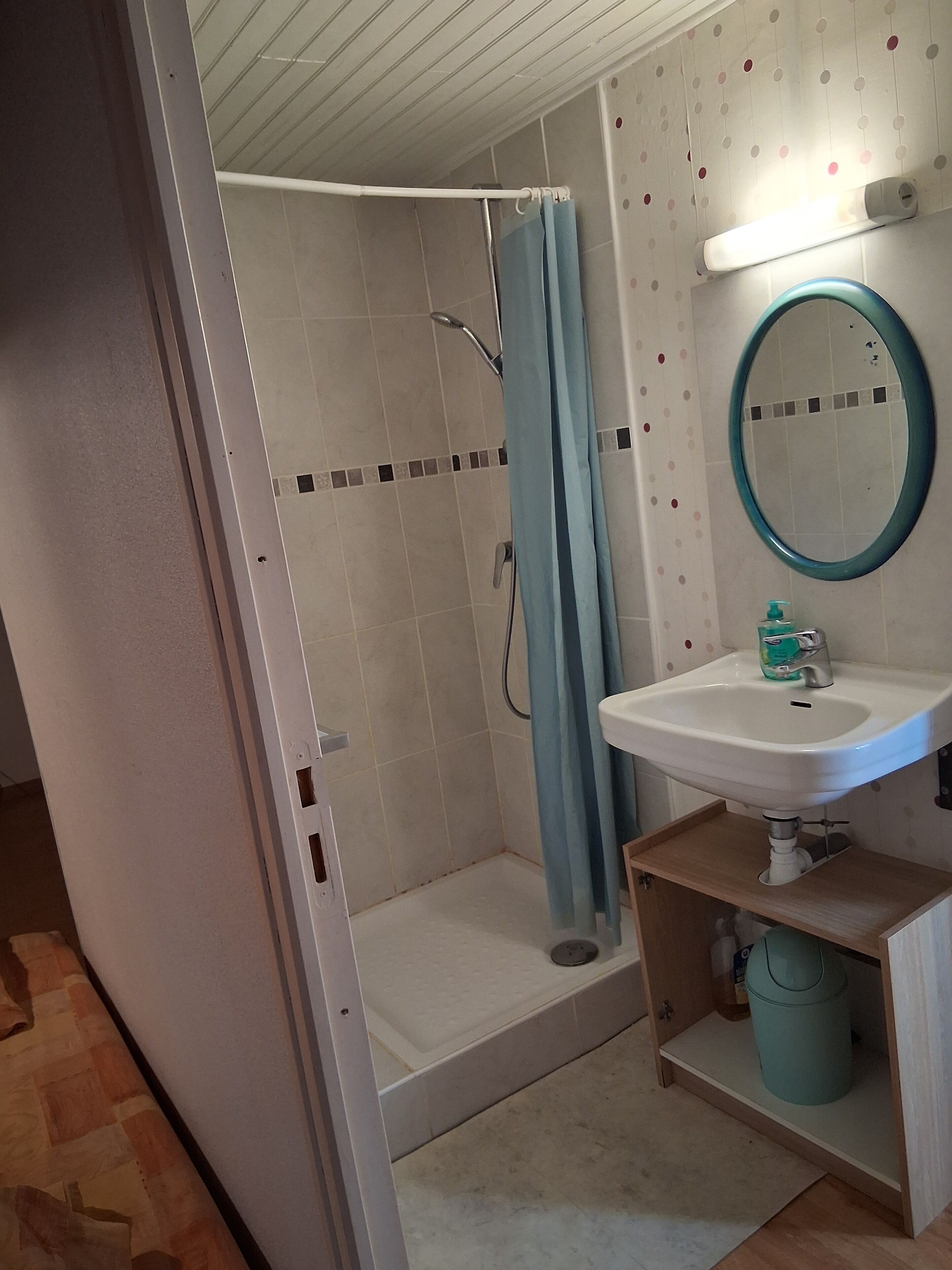 Shower, hair dryer, soap, toilet paper
