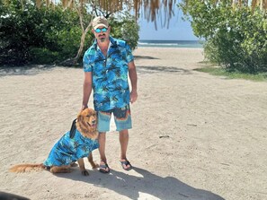 Beach nearby - Casa Ariba! Aruba Adventure and Explore near all  … (Santa Cruz)