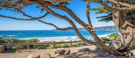 Playa en los alrededores