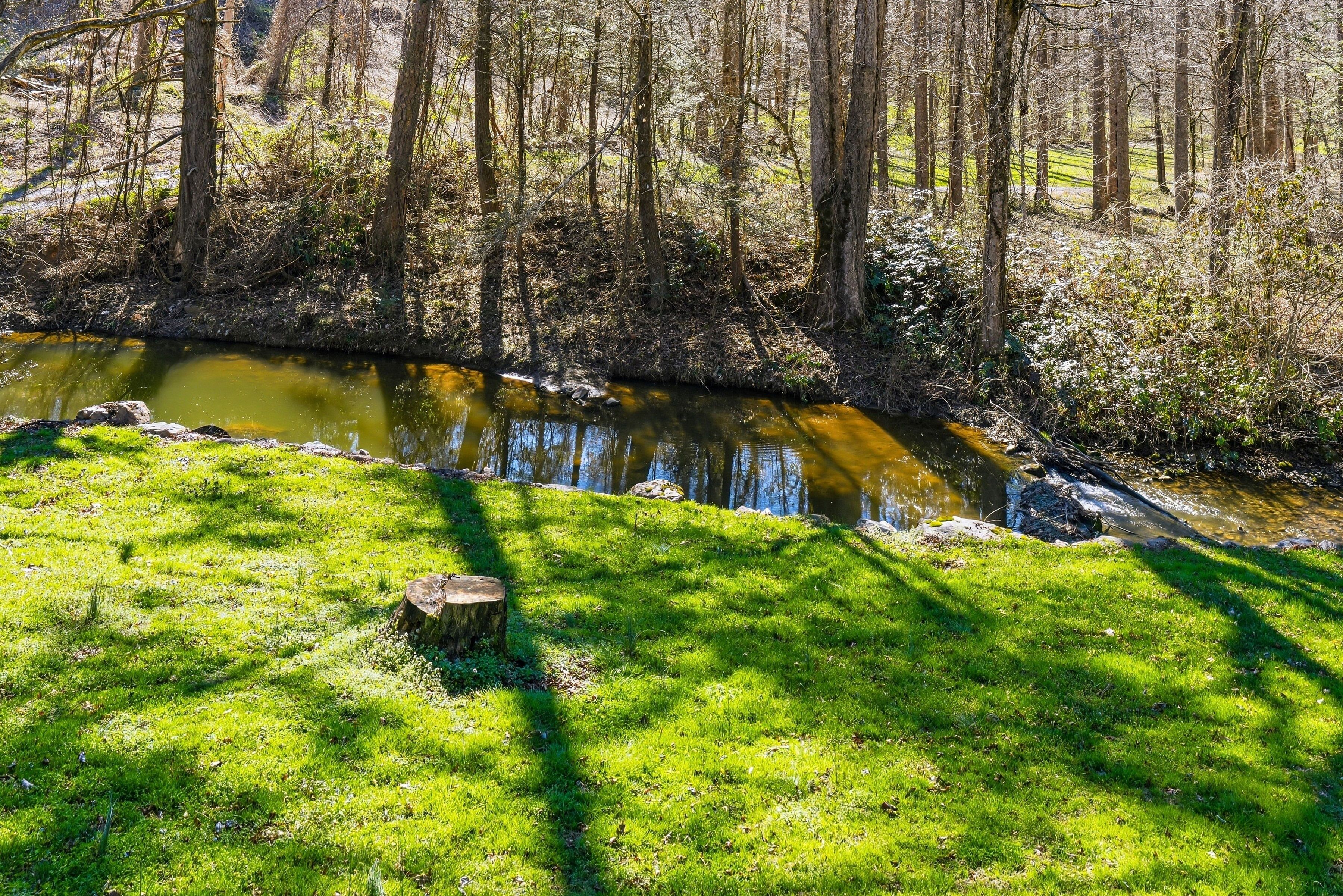 A natural landscape with a stream, trees, and grassy areas.