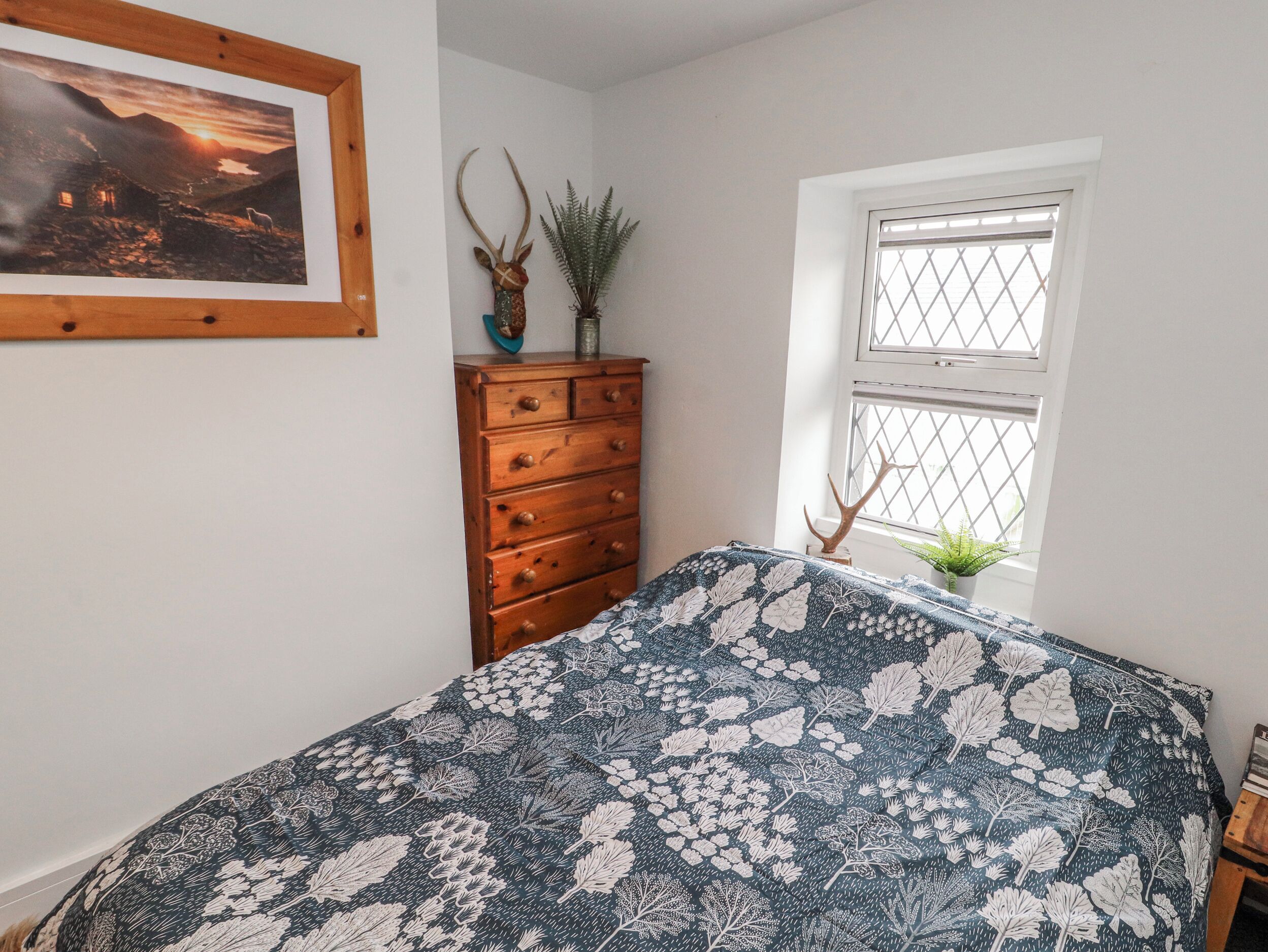 1 bedroom, individually decorated, individually furnished, free WiFi