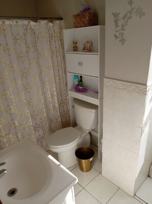 Shower, towels, toilet paper