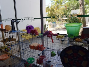 A metal cage with toys and containers, a green bucket, and a dartboard.
