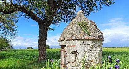 Le puits du Bréneau