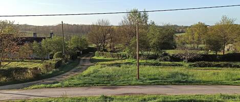 A rural landscape with a narrow road, green fields, and trees.