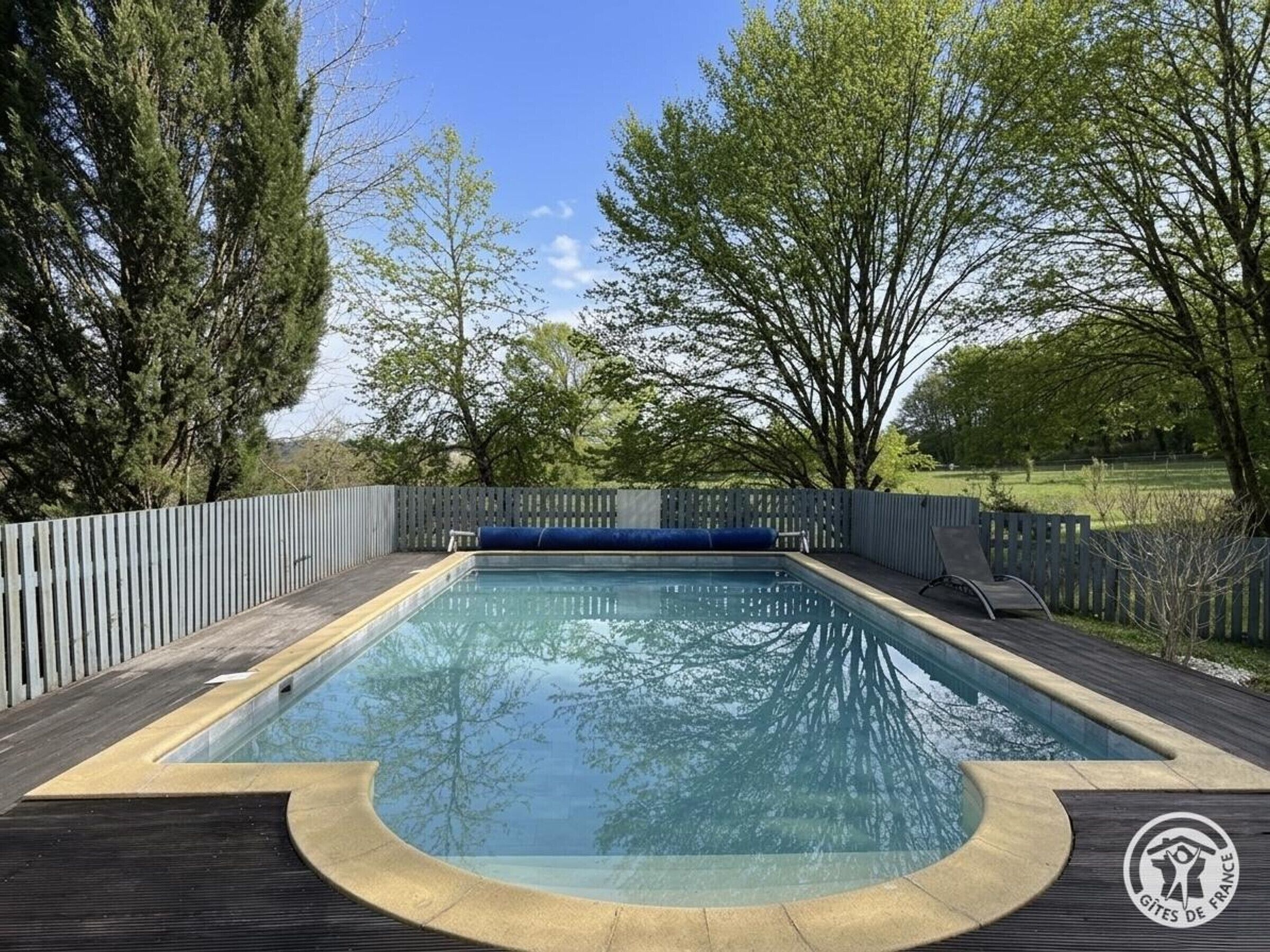 Una piscina rectangular con un borde de madera, ubicada en un área ajardinada con árboles y una cerca.