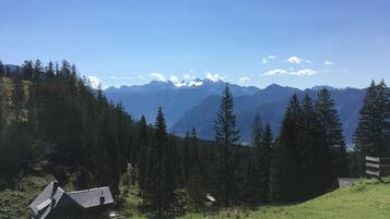 A cabin with a sloped roof, surrounded by a forest and mountains in the background.