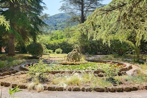 A garden with a central pond, surrounded by various plants and trees.