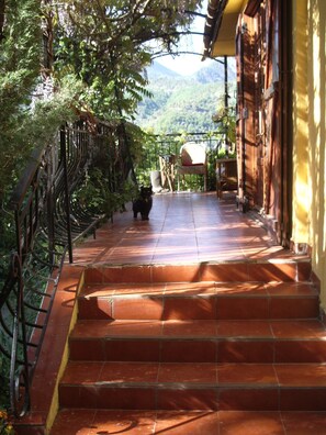Terraza o patio