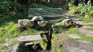 Overnattingsstedets uteområder