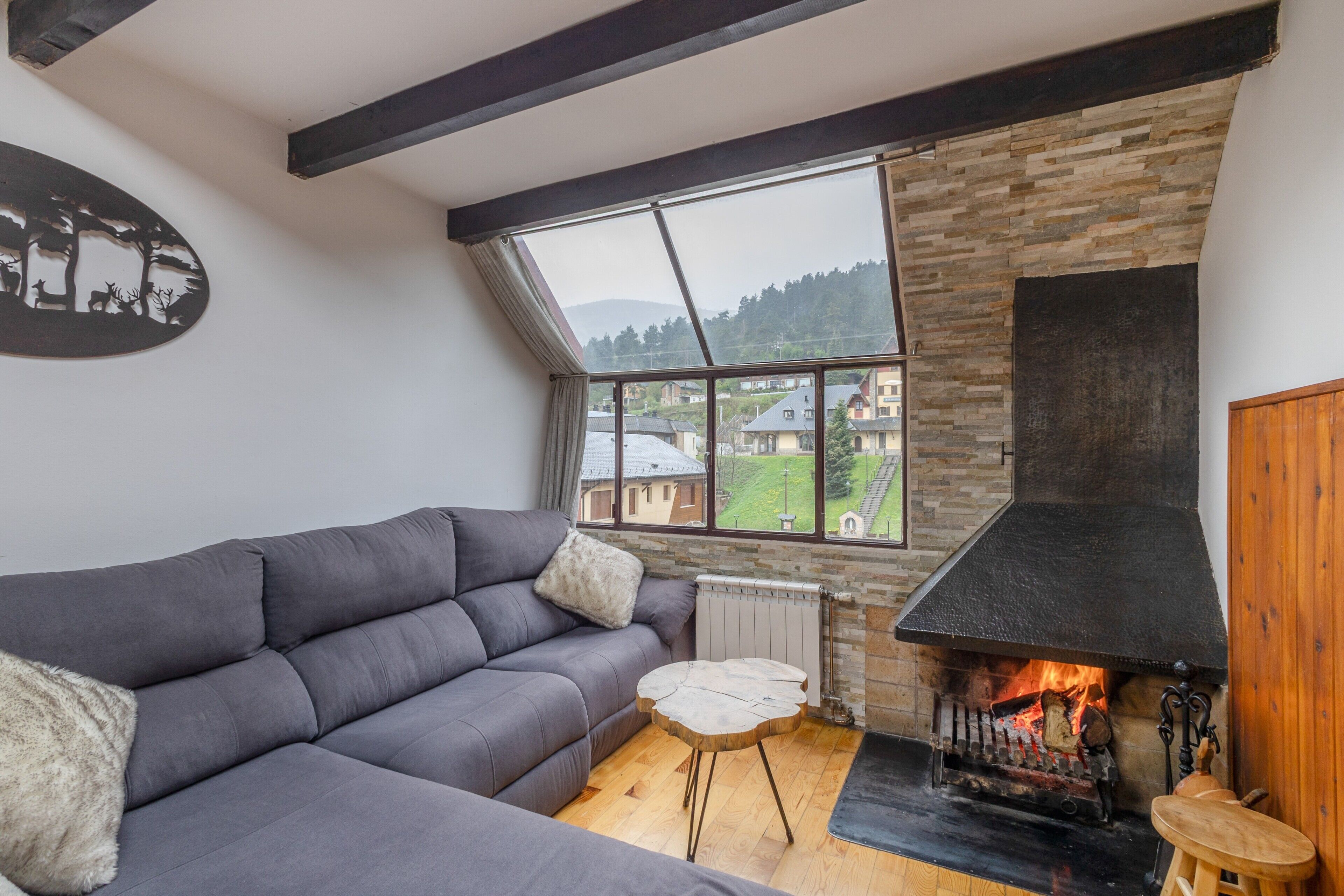 TV, fireplace