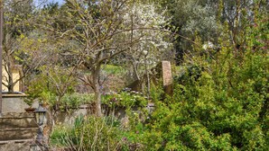 Ein Garten mit Steinmauer, Baum und verschiedenen Pflanzen.