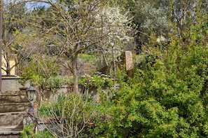 Un jardin avec un mur de pierre, un arbre et diverses plantes.