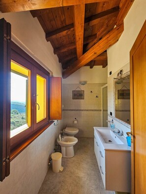 A bathroom with a wooden ceiling, a window with yellow curtains, a toilet, a bidet, a sink, and a mirror.