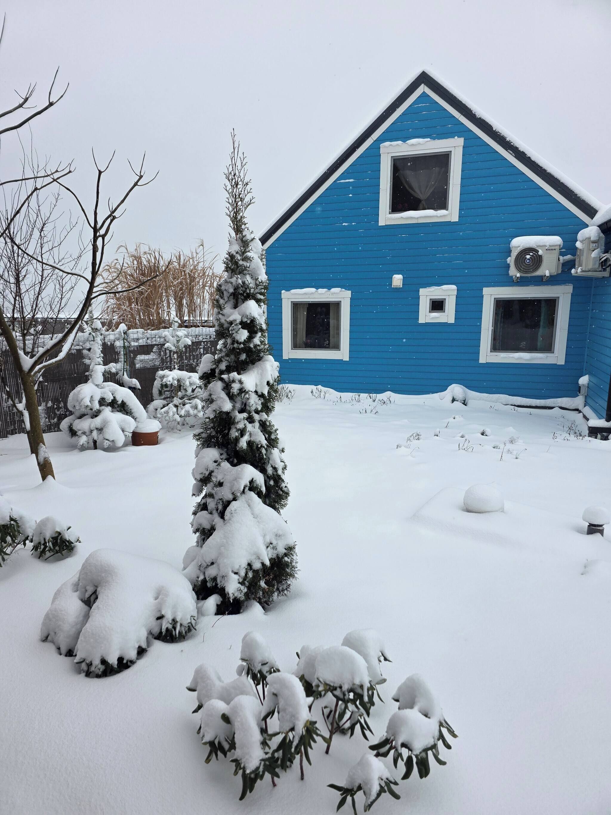 A blue house with snow-covered surroundings.