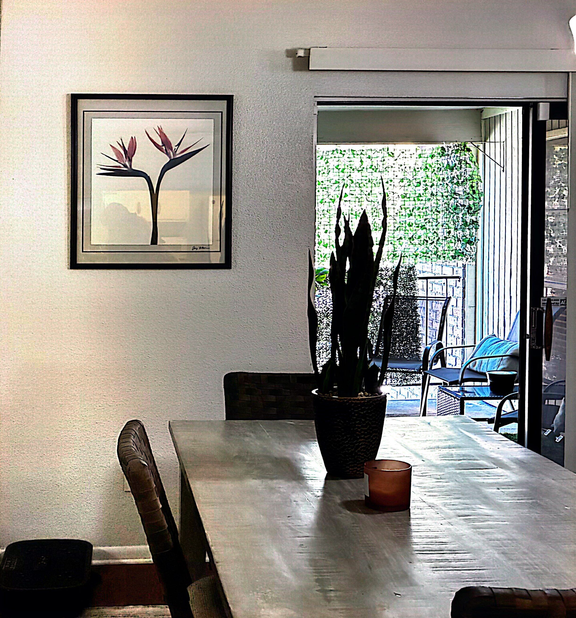 Un espace repas comprenant une table, des chaises, une œuvre d’art encadrée et une plante en pot.