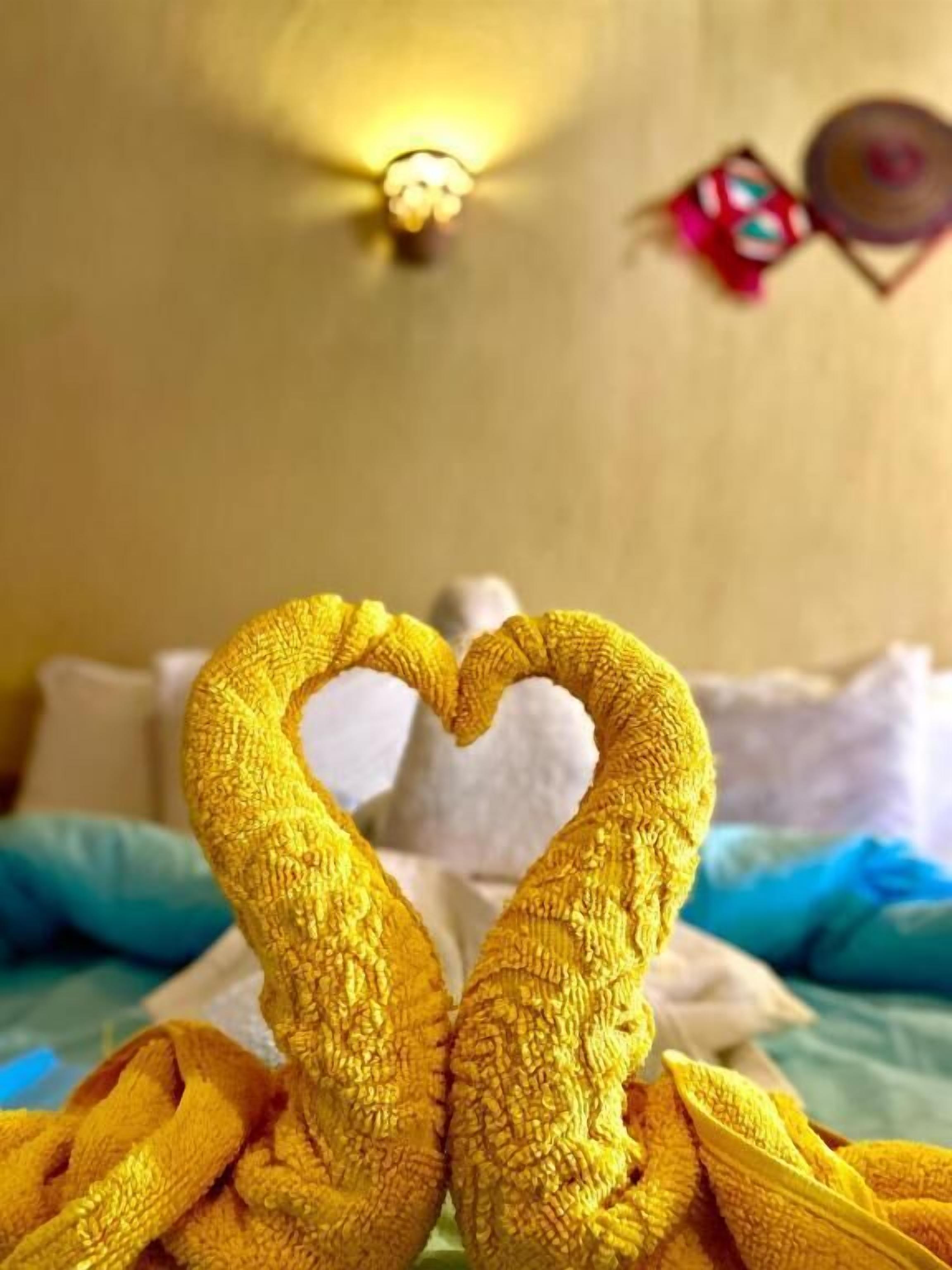 Chambre Double Économique, patio, vue jardin | Divers