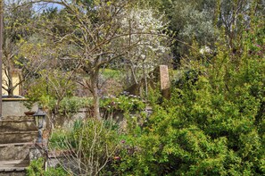 House, Patio | Property grounds - Il Glicine (Laconi)