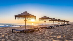 Een strand met rieten parasols en ligbedden langs de kust.