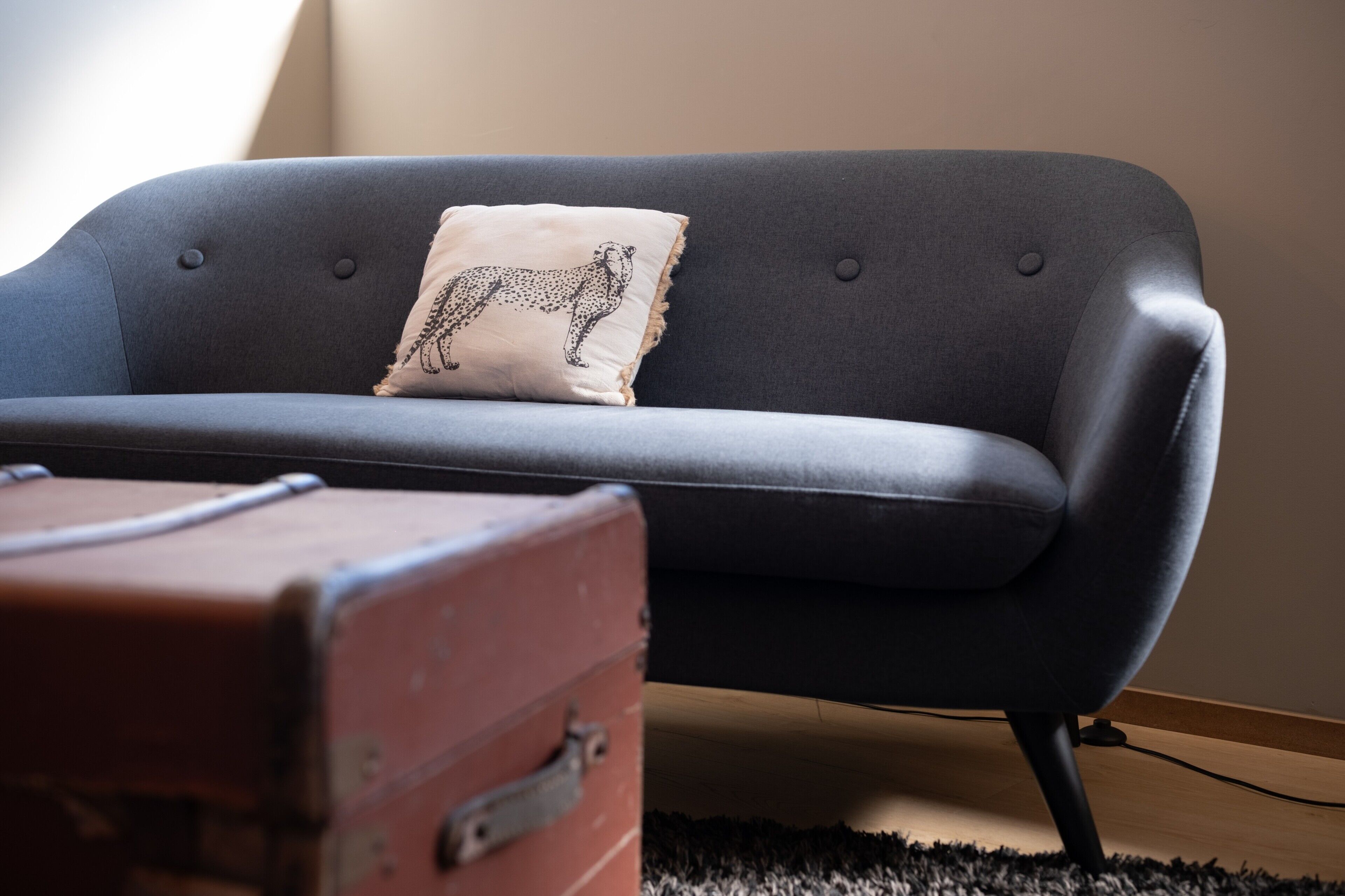 A grey sofa with a leopard print pillow, a red suitcase, and a black rug.