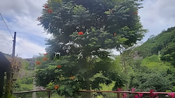 Biệt thự cơ bản | Khuôn viên nơi lưu trú