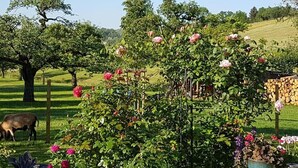 A garden with rose bushes, a tree, and a fence. - Landgut Apfelrose (Friedrichshafen)