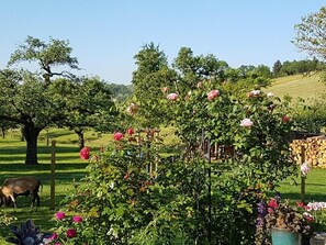 Deluxe Double Room, Balcony, Garden View | Property grounds - Landgut Apfelrose (Friedrichshafen)