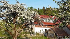 A rural setting with a white building with a red roof, surrounded by greenery and a blooming tree. - Landgut Apfelrose (Friedrichshafen)