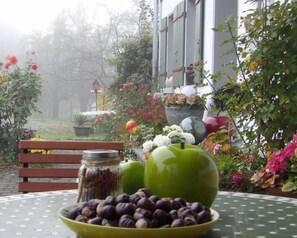 Double Room, Balcony, Garden View | Outdoor dining - Landgut Apfelrose (Friedrichshafen)