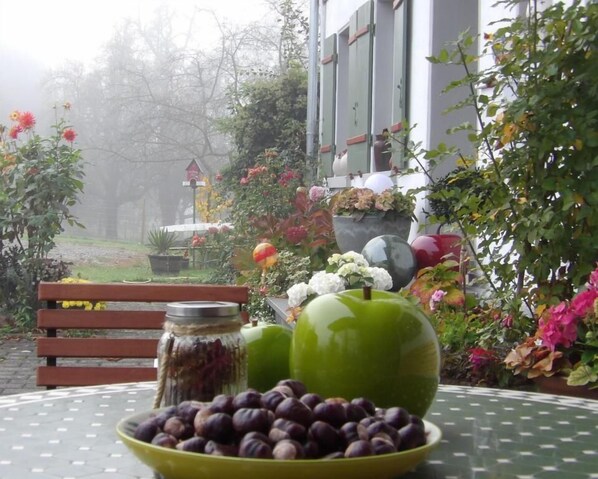 더블룸, 발코니, 정원 전망 | 야외 식당